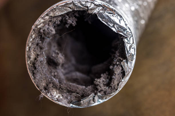 Best Dryer Vent Cleaning Services  in Plant City, FL